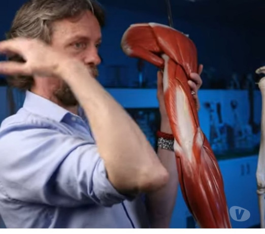 massagem-relaxante-shiatsu-e-lliber-miofascia-ja-em-sao-paulo-atendimento-personalizado-e-especializado-oportunidade-unica-big-2