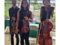 grupo-trio-de-cordas-three-strings-niteroi-rj-enco-de-selecionado-em-rio-de-small-2