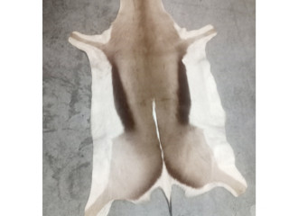 excelente-sao-paulo-localizacao-privilegiada-oportunidade-unica