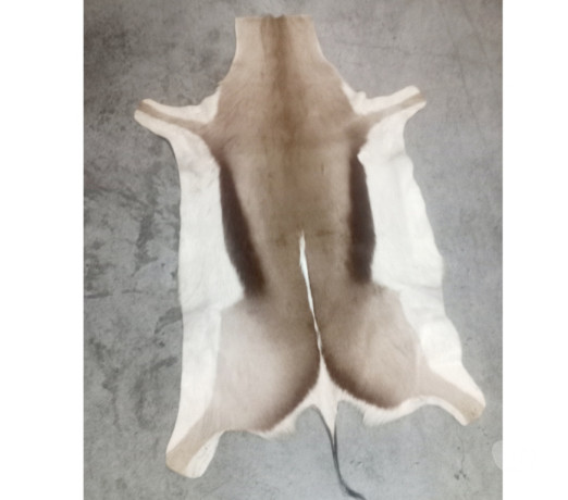 excelente-sao-paulo-localizacao-privilegiada-oportunidade-unica-big-0