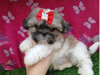 bebes-a-pronta-entrega-vila-prudente-oportunidade-de-fi-de-diferenciado-em-sao-paulo-garantia