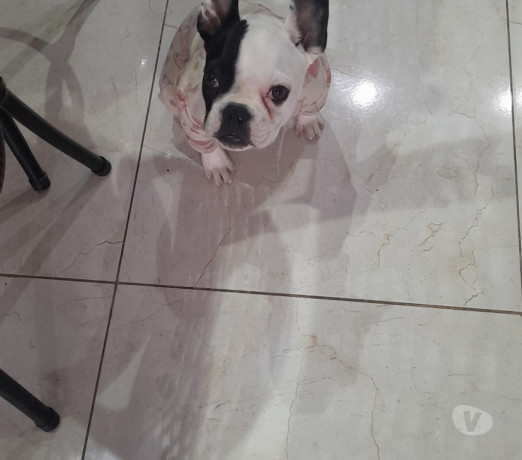 excelente-rio-grande-localizacao-privilegiada-condicao-especial-big-1