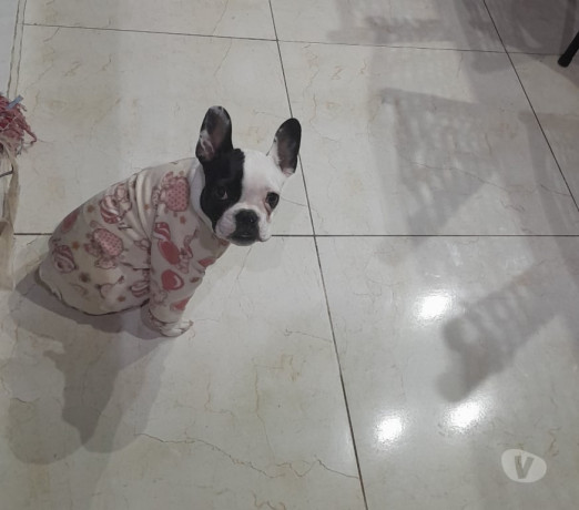 excelente-rio-grande-localizacao-privilegiada-condicao-especial-big-0