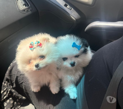 semi-novo-sao-paulo-otima-oportunidade-entrega-imediata-big-0