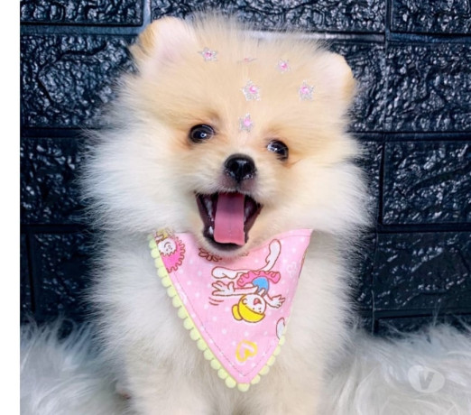 semi-novo-rio-de-otima-oportunidade-entrega-imediata-big-2