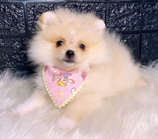 semi-novo-rio-de-otima-oportunidade-entrega-imediata-big-1