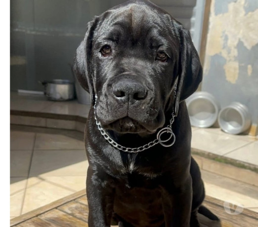 excelente-sao-paulo-posicao-privilegiada-privilegiada-entrega-imediata-big-0