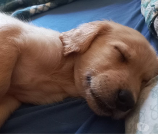 excelente-sao-paulo-localizacao-privilegiada-garantia-big-0