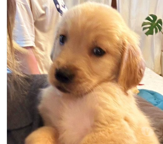 excelente-sao-paulo-localizacao-privilegiada-garantia-big-2