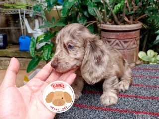 excelente-sao-paulo-localizacao-privilegiada-condicao-especial
