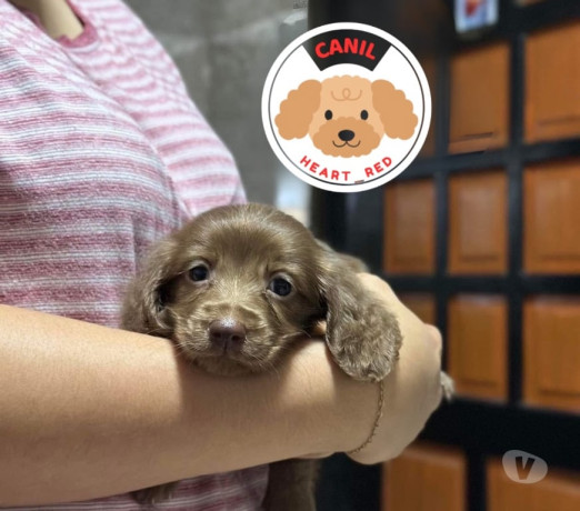 excelente-sao-paulo-localizacao-privilegiada-condicao-especial-big-1