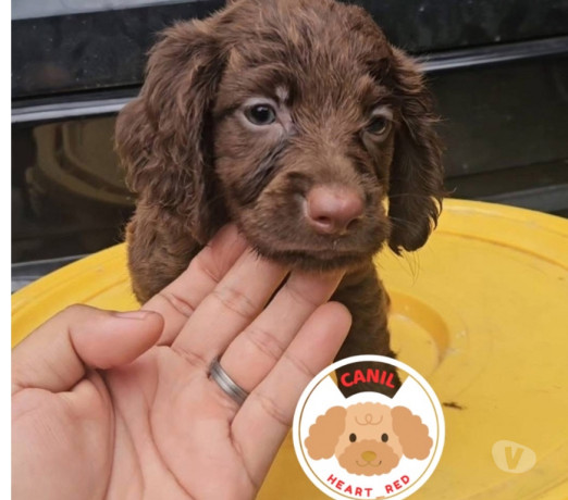 excelente-sao-paulo-localizacao-privilegiada-condicao-especial-big-3