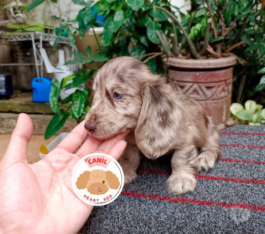 excelente-sao-paulo-localizacao-privilegiada-condicao-especial-big-0