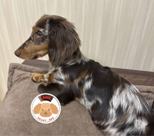 excelente-sao-paulo-localizacao-privilegiada-condicao-especial-big-2