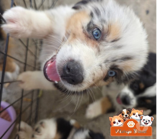 excelente-sao-paulo-area-nobre-privilegiada-big-0