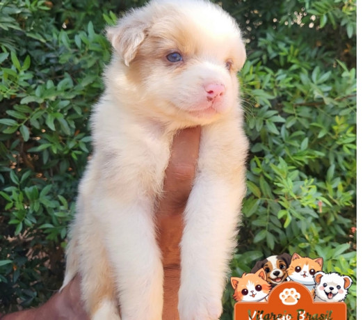 excelente-sao-paulo-area-nobre-privilegiada-big-2