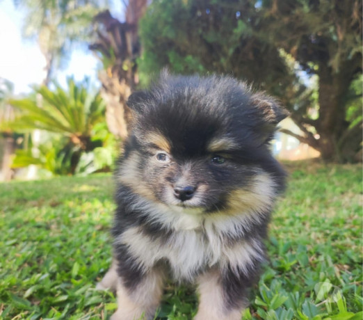 em-rio-grande-conservado-negociavel-big-1