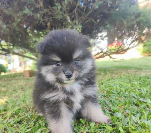 em-rio-grande-conservado-negociavel-big-3