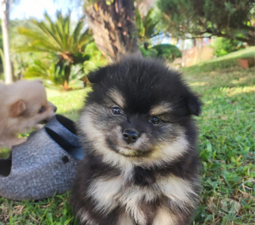 em-rio-grande-conservado-negociavel-big-2