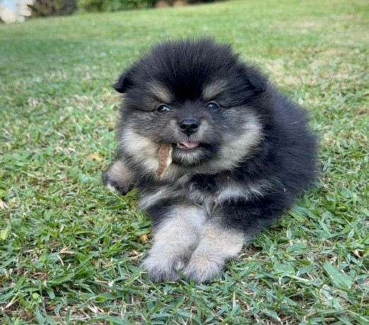 em-rio-grande-conservado-negociavel-big-0