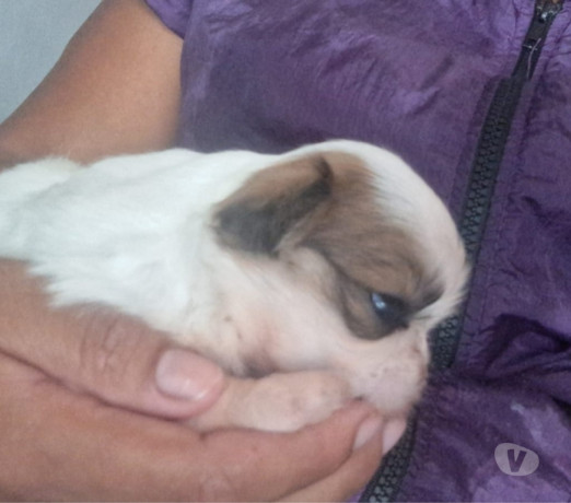 oportunidade-em-mato-grosso-conservado-oportunidade-unica-big-1