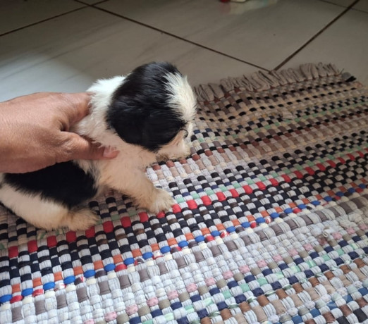 oportunidade-em-mato-grosso-conservado-oportunidade-unica-big-2