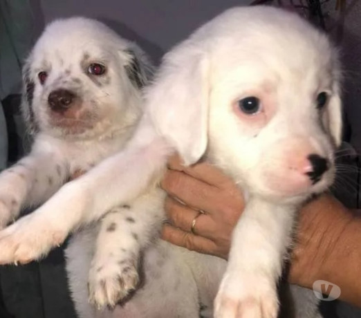 excelente-rio-grande-posicao-privilegiada-privilegiada-oportunidade-unica-big-0