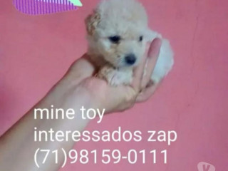 disponivel-bahiasalvador-centro-condicoes-especiais-em-bahiasalvador-centro-garantia