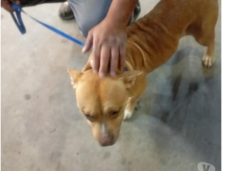 novidade-em-sao-paulo-localizacao-privilegiada-negociavel