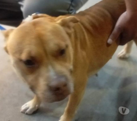 novidade-em-sao-paulo-localizacao-privilegiada-negociavel-big-1