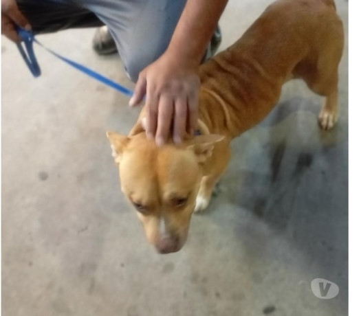 novidade-em-sao-paulo-localizacao-privilegiada-negociavel-big-0