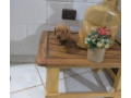filhote-de-basset-dachshund-macho-sao-jose-dos-c-premium-em-sao-paulo-small-0