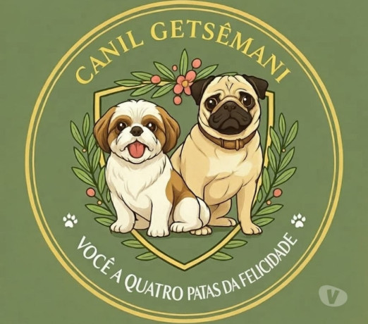 semi-novo-rio-de-otima-oportunidade-oportunidade-unica-big-0