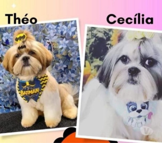 semi-novo-rio-de-otima-oportunidade-oportunidade-unica-big-2