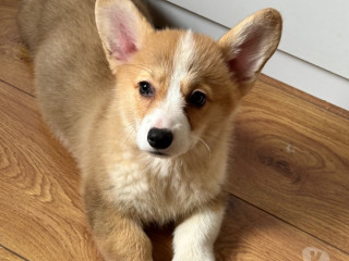 excelente-sao-paulo-localizacao-privilegiada-oportunidade-unica