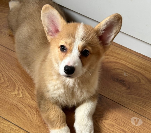 excelente-sao-paulo-localizacao-privilegiada-oportunidade-unica-big-0