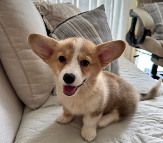 excelente-sao-paulo-localizacao-privilegiada-oportunidade-unica-big-1