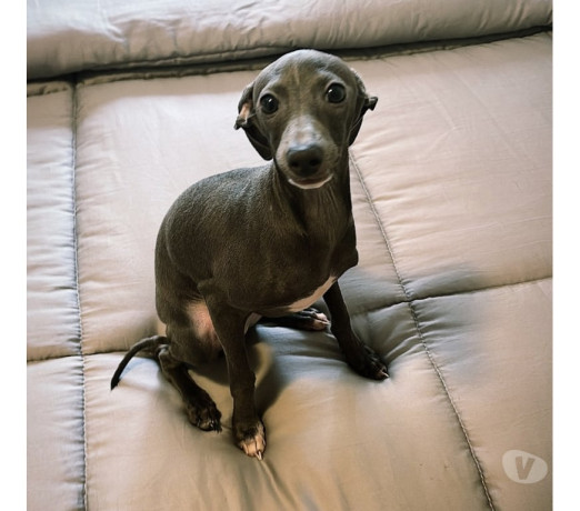 disponivel-sao-paulo-conservado-big-0