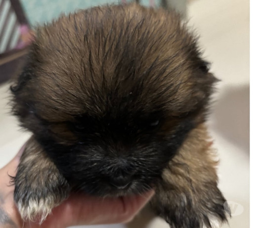 disponivel-rio-de-conservado-r-70000-r-70000-big-2