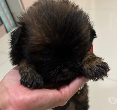 disponivel-rio-de-conservado-r-70000-r-70000-big-4