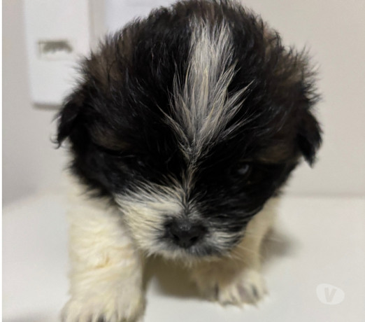 disponivel-rio-de-conservado-r-70000-r-70000-big-3