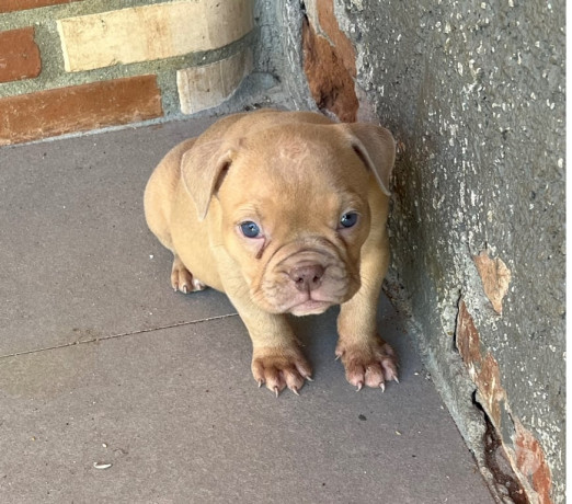 disponivel-rio-de-conservado-r-300000-r-300000-garantia-big-2