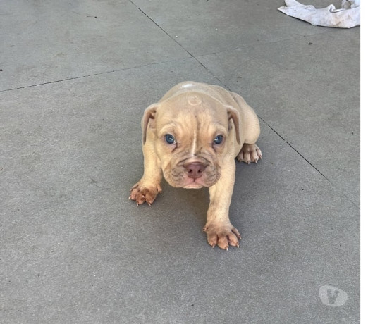 disponivel-rio-de-conservado-r-300000-r-300000-garantia-big-3