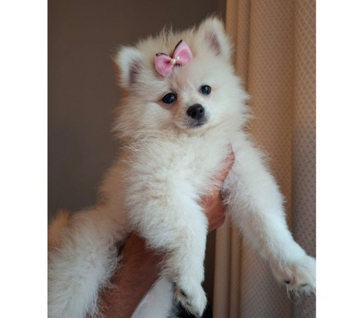 disponivel-rio-de-conservado-negociavel-big-2