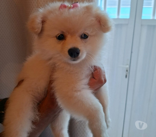 disponivel-rio-de-conservado-negociavel-big-1