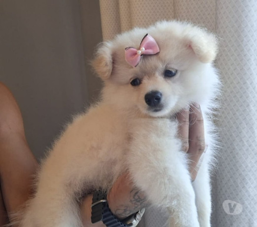 disponivel-rio-de-conservado-negociavel-big-0