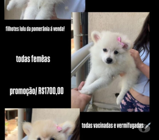 disponivel-rio-de-conservado-negociavel-big-3