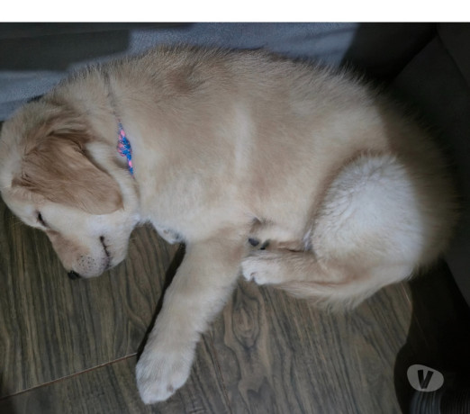 disponivel-sao-paulo-conservado-r-250000-r-250000-oportunidade-unica-big-1