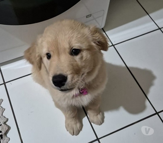 disponivel-sao-paulo-conservado-r-250000-r-250000-oportunidade-unica-big-0