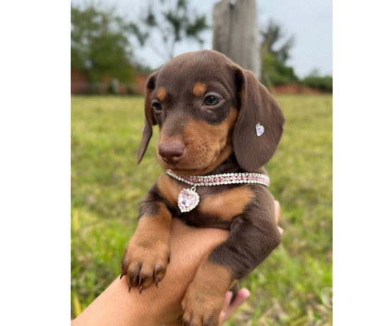 disponivel-sao-paulo-conservado-oportunidade-unica-big-0